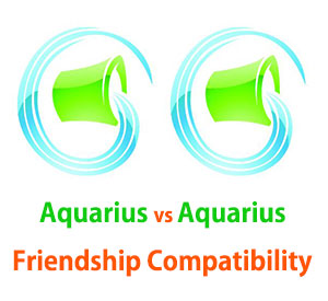 Aquarius and Aquarius Friendship Compatibility