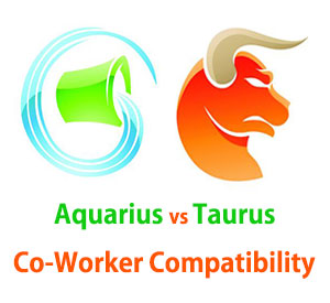 Aquarius and Taurus Co-Worker Compatibility 