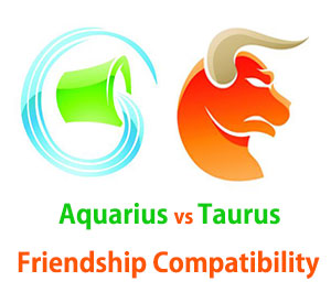 Aquarius and Taurus Friendship Compatibility