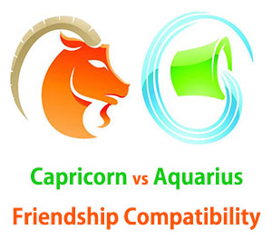 Capricorn and Aquarius Friendship Compatibility