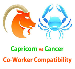 Capricorn and Cancer Co-Worker Compatibility 