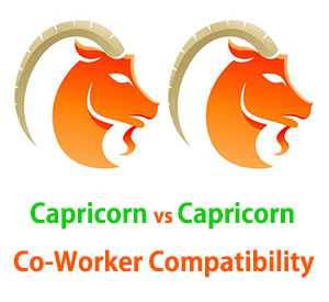 Capricorn and Capricorn Friendship Compatibility