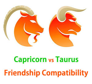 Capricorn and Taurus Friendship Compatibility