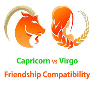 Capricorn and Virgo Friendship Compatibility