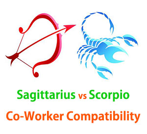 Sagittarius and Scorpio Co-Worker Compatibility 