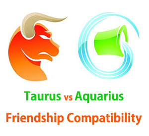 Taurus and Aquarius Friendship Compatibility