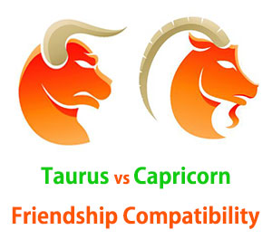 Taurus and Capricorn Friendship Compatibility