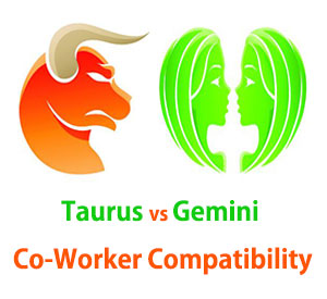 Taurus and Gemini Co-Worker Compatibility 
