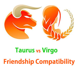 Taurus and Virgo Friendship Compatibility