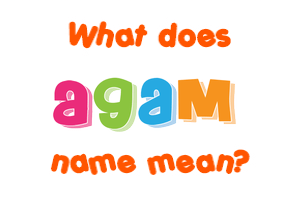 Meaning of Agam Name