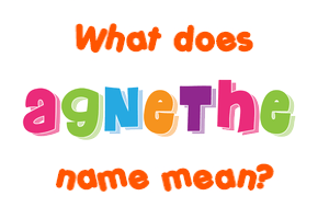 Meaning of Agnethe Name