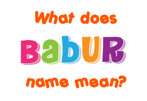 Meaning of Babur Name