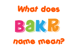 Meaning of Bakr Name