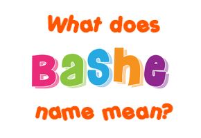 Meaning of Bashe Name