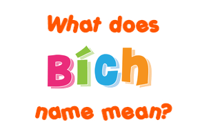 Meaning of Bích Name
