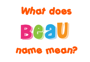 Meaning of Beau Name