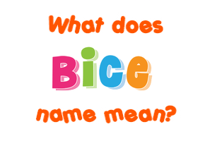 Meaning of Bice Name