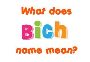 Meaning of Bich Name