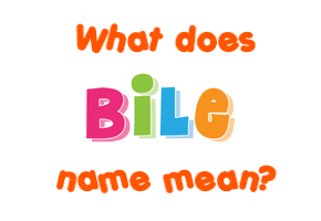 Meaning of Bile Name