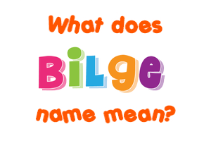 Meaning of Bilge Name