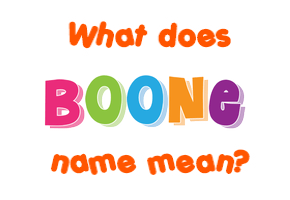 Meaning of Boone Name