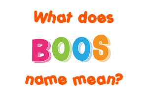 Meaning of Boos Name