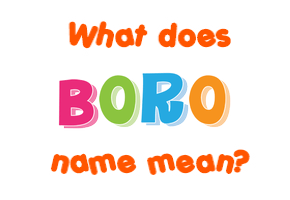 Meaning of Boro Name