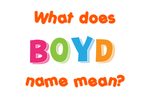 Meaning of Boyd Name