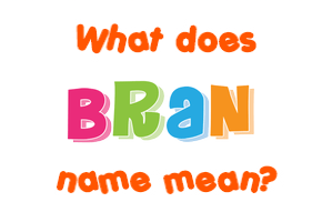 Meaning of Bran Name