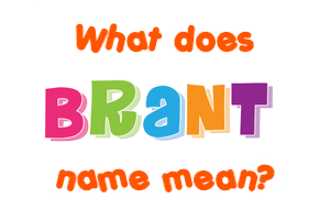 Meaning of Brant Name