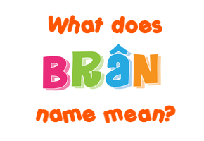 Meaning of Brân Name