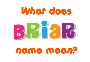 Meaning of Briar Name