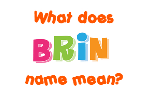 Meaning of Brin Name