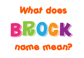 Meaning of Brock Name