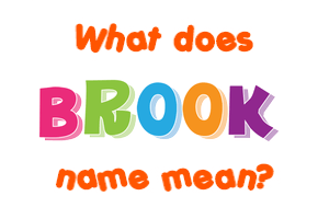 Meaning of Brook Name
