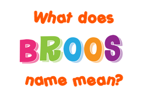 Meaning of Broos Name