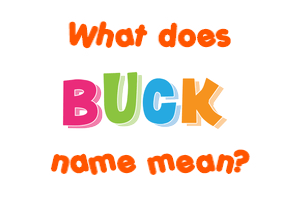 Meaning of Buck Name