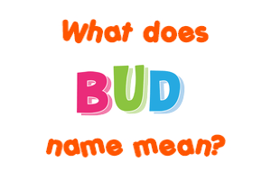 Meaning of Bud Name