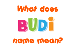 Meaning of Budi Name