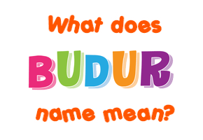 Meaning of Budur Name