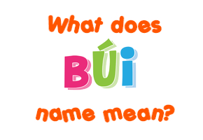 Meaning of Búi Name