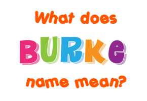 Meaning of Burke Name