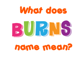 Meaning of Burns Name
