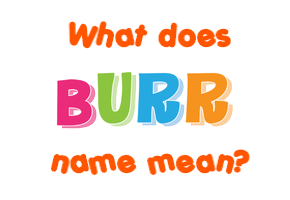 Meaning of Burr Name