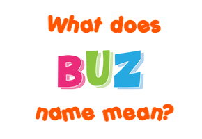 Meaning of Buz Name