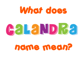 Meaning of Calandra Name
