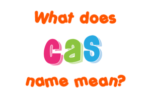 Meaning of Cas Name
