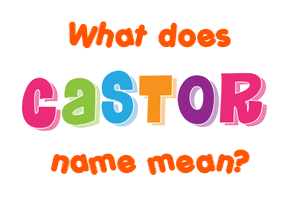Meaning of Castor Name