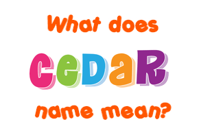Meaning of Cedar Name