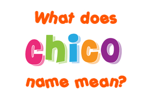 Meaning of Chico Name